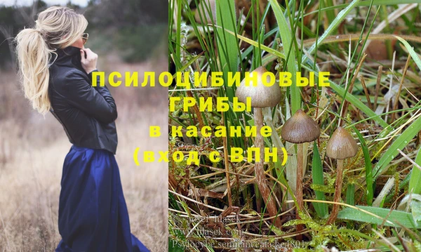 ешки Заводоуковск