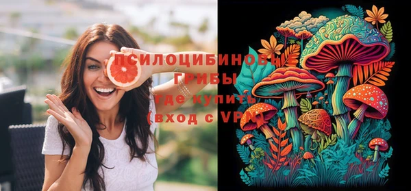ешки Заводоуковск