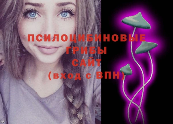 ешки Заводоуковск
