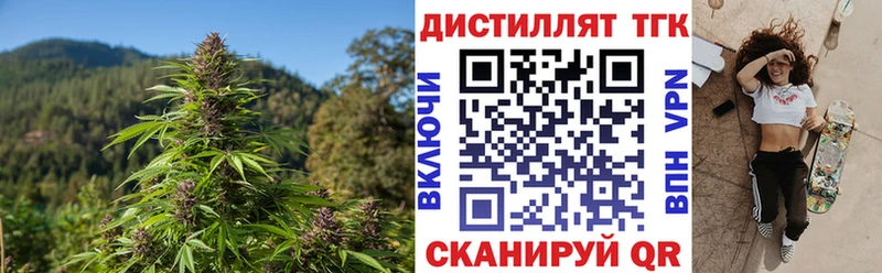 Купить  Западная Двина  ТГК Wax 