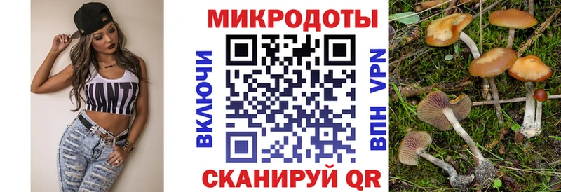 Псилоцибиновые грибы Magic Shrooms  Купить  Западная Двина 